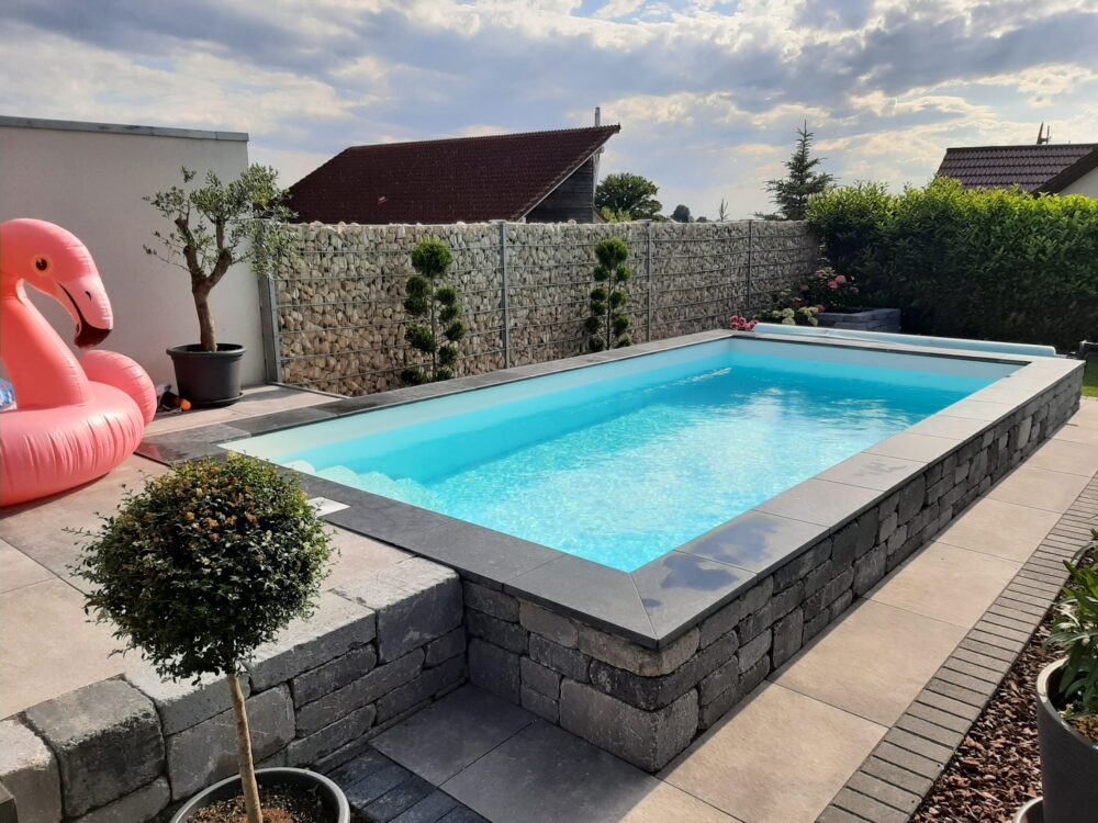 Skimmer-Pool Skimmer-Pool